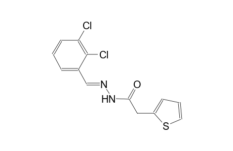 N'-[(E)-(2,3-dichlorophenyl)methylidene]-2-(2-thienyl)acetohydrazide