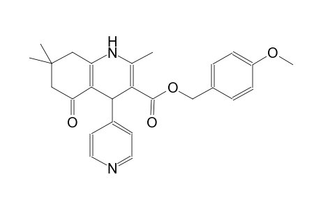 4-methoxybenzyl 2,7,7-trimethyl-5-oxo-4-(4-pyridinyl)-1,4,5,6,7,8-hexahydro-3-quinolinecarboxylate