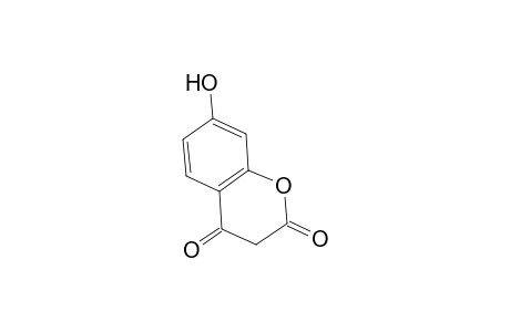 2H-1-Benzopyran-2-one, 4,7-dihydroxy-