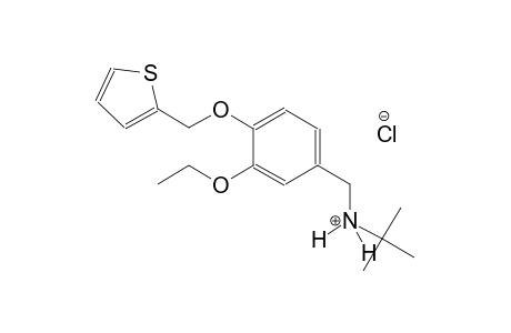 N-[3-ethoxy-4-(2-thienylmethoxy)benzyl]-2-methyl-2-propanaminium chloride