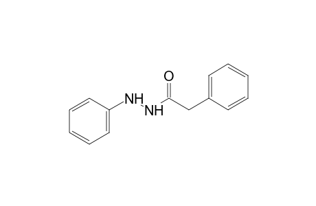 phenylacetic acid, 2-phenylhydrazide