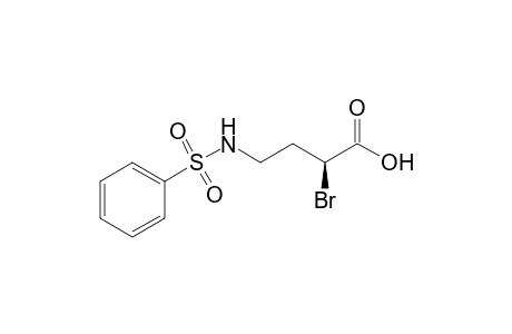 (S)-4-Benzenesulfonylamino-2-bromobutanoic acid