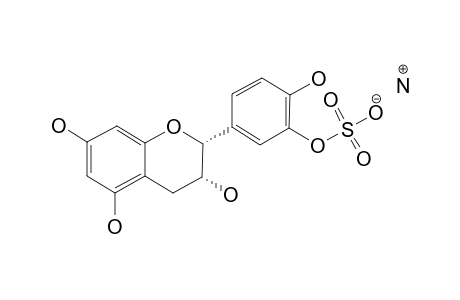 EPICATECHIN-3'-SULFATE_AMMONIUM_SALT