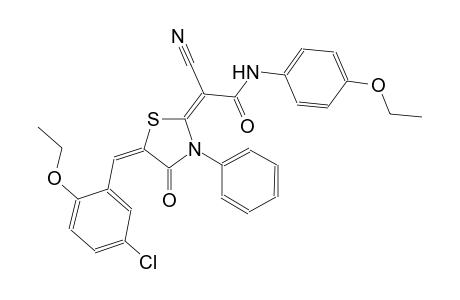 (2E)-2-[(5E)-5-(5-chloro-2-ethoxybenzylidene)-4-oxo-3-phenyl-1,3-thiazolidin-2-ylidene]-2-cyano-N-(4-ethoxyphenyl)ethanamide