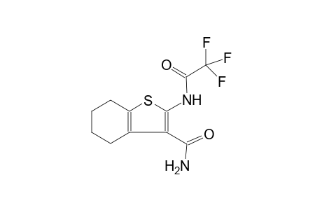 2-(2,2,2-Trifluoro-acetylamino)-4,5,6,7-tetrahydro-benzo[b]thiophene-3-carboxylic acid amide