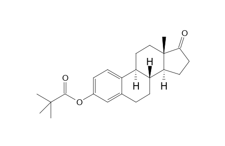 Estrone trimethylacetate
