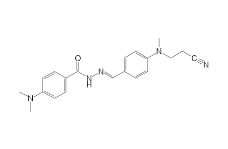 p-(dimethylamino)benzoic acid, {p-[(2-cyanoethyl)methylamino]benzylidene}hydrazide