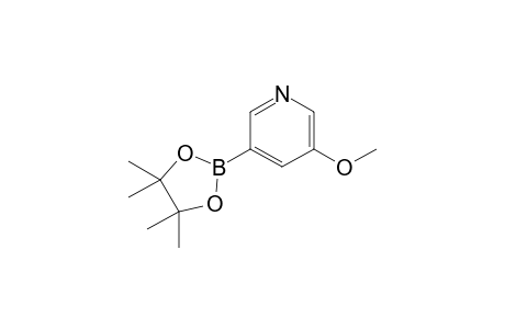 3-(4,4,5,5-Tetramethyl-1,3,2-dioxaborolan-2-yl)-5-methoxypyridine