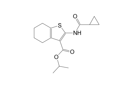 isopropyl 2-[(cyclopropylcarbonyl)amino]-4,5,6,7-tetrahydro-1-benzothiophene-3-carboxylate