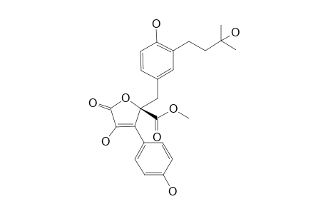 TERRELACTONE;(R)-METHYL-4-HYDROXY-2-[4-HYDROXY-3-(3-HYDROXY-3-METHYLBUTYL)-BENZYL]-3-(4-HYDROXYPHENYL)-5-OXO-2,5-DIHYDROFURAN-2-CARBOXYLATE