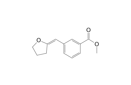 Benzoic acid, 3-[(dihydro-2(3H)-furanylidene)methyl]-, methyl ester, (E)-