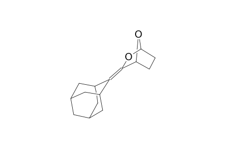 2-Adamantylidene-1,7-dioxabicyclo[2.2.1]heptane
