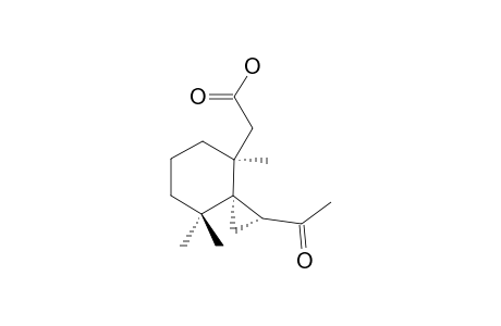 2-[(1R,3S,4S)-1-acetyl-4,8,8-trimethylspiro[2.5]octan-4-yl]acetic acid
