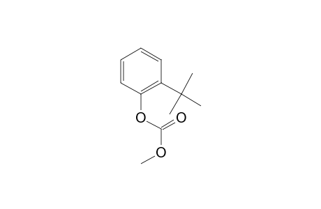 2-Tert-butylphenol, o-methoxycarbonyl-