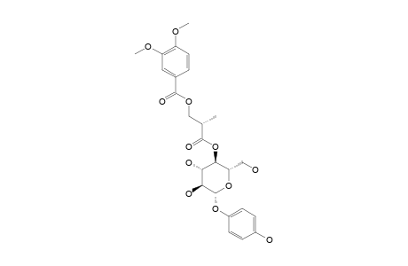 4'-O-[(2R)-METHYL-3-VERATROYLOXY-PROPANOYL]-ARBUTIN