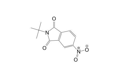2-tert-butyl-5-nitro-1H-isoindole-1,3(2H)-dione