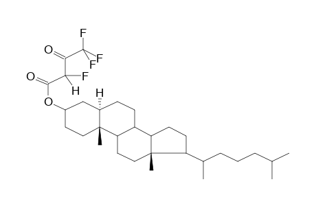 CHOLESTANYL 2,4,4,4-TRIFLUORO-3-OXOBUTANOATE (KETO)