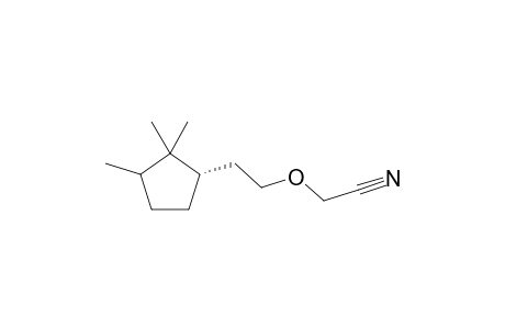 2-(2-((1S)-2,2,3-trimethylcyclopentyl)ethoxy)acetonitrile