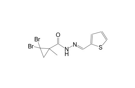 2,2-dibromo-1-methyl-N'-[(E)-2-thienylmethylidene]cyclopropanecarbohydrazide
