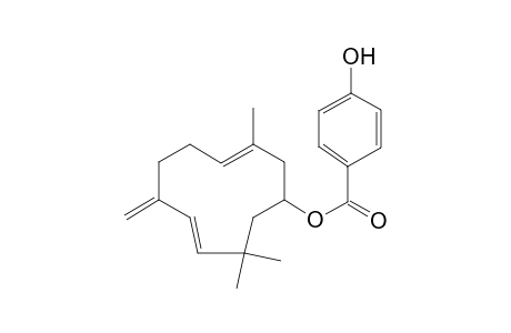 4-Hydroxybenzoic acid, 3,10,10-trimethyl-7-methylenecycloundeca-3,8-dienyl ester
