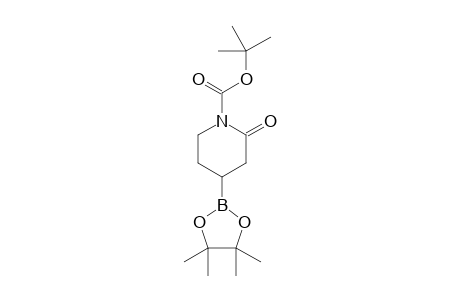 tert-Butyl 2-oxo-4-(4,4,5,5-tetramethyl-1,3,2-dioxaborolan-2-yl)piperidine-1-carboxylate