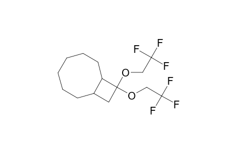 9,9-bis(2,2,2-trifluroethoxy)-bicyclo[6.2.0]decane