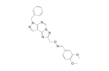 3,4-dimethoxybenzaldehyde O-[(7-benzyl-7H-pyrazolo[4,3-e][1,2,4]triazolo[1,5-c]pyrimidin-2-yl)methyl]oxime