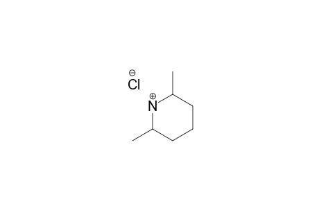 2,6-Dimethylpiperidine hydrochloride