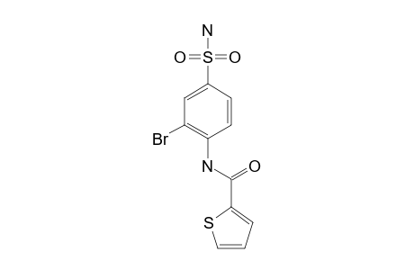 4-(THIOPHENE-2-CARBOXAMIDO)-3-BROMO-BENZENESULFONAMIDE