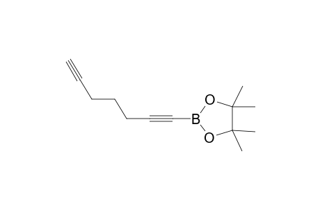 2-(Hepta-1,6-diyn-1-yl)-4,4,5,5-tetramethyl-1,3,2-dioxaborolane