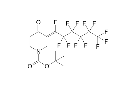 tert-butyl (3Z)-3-(1,2,2,3,3,4,4,5,5,6,6,6-dodecafluorohexylidene)-4-oxo-piperidine-1-carboxylate
