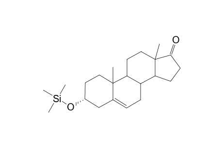 3.alpha.-hydroxyandrost-5-en-17-one TMS