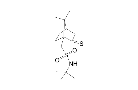 (+)-N-t-Butyl-(2-thioxo-7,7-dimethylcyclo[2.2.1]hept-1-yl)methyl]sulfonamide