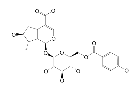 AQUATICOSIDE-B;6'-O-PARA-HYDROXYBENZOYL-8-EPILOGANIC-ACID
