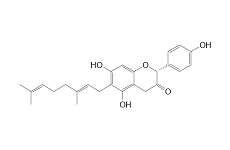 (R)-2-(p-Hydroxyphenyl)-5,7-dihydroxy-6-(1'-geranyl)-2,3-dihydrobenzopyran-4H-one