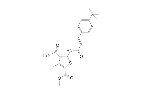 methyl 4-(aminocarbonyl)-5-{[(2E)-3-(4-tert-butylphenyl)-2-propenoyl]amino}-3-methyl-2-thiophenecarboxylate
