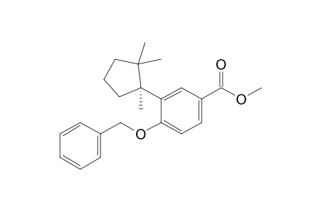 Methyl 4-Benzyloxy-3-[(1S)-1,2,2-trimethylcyclopentyl]benzoate