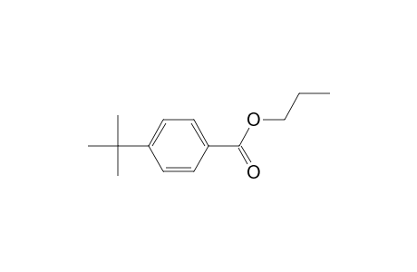 4-tert-Butylbenzoic acid propyl ester