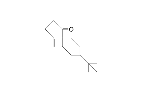 cis-8-tert-Butyl-4-methylidene-R-spiro(4.5)decan-1-one