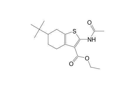 ethyl 2-(acetylamino)-6-tert-butyl-4,5,6,7-tetrahydro-1-benzothiophene-3-carboxylate