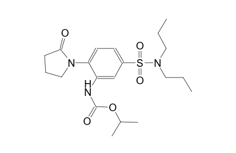 carbamic acid, [5-[(dipropylamino)sulfonyl]-2-(2-oxo-1-pyrrolidinyl)phenyl]-, 1-methylethyl ester