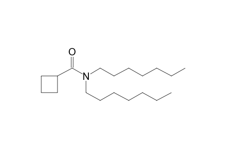 Cyclobutanecarboxamide, N,N-diheptyl-