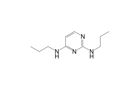2-N,4-N-dipropylpyrimidine-2,4-diamine