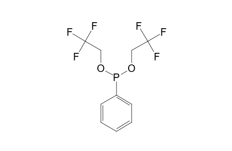 BIS-(2,2,2-TRIFLUORETHYL)-PHENYLPHOSPHITE