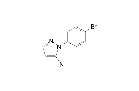 1H-Pyrazol-5-amine, 1-(4-bromophenyl)-