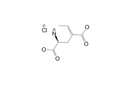 (2S)-4-ETHYLIDENEGLUTAMIC-ACID-HYDROCHLORIDE