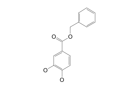BENZYL-3,4-DIHYDROXYBENZOATE