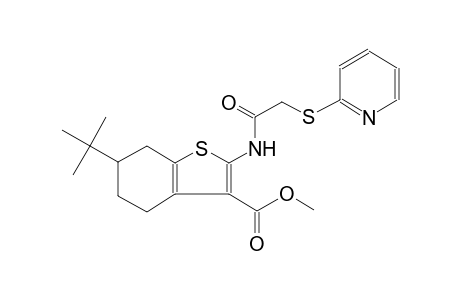 benzo[b]thiophene-3-carboxylic acid, 6-(1,1-dimethylethyl)-4,5,6,7-tetrahydro-2-[[(2-pyridinylthio)acetyl]amino]-, methyl ester