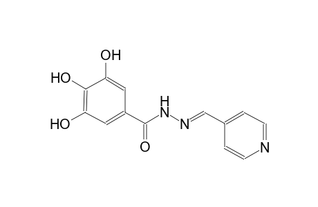 benzoic acid, 3,4,5-trihydroxy-, 2-[(E)-4-pyridinylmethylidene]hydrazide