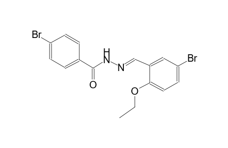 benzoic acid, 4-bromo-, 2-[(E)-(5-bromo-2-ethoxyphenyl)methylidene]hydrazide